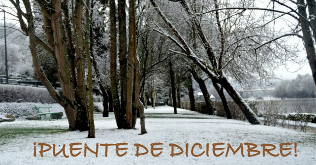 December holidays: 57€/person/day